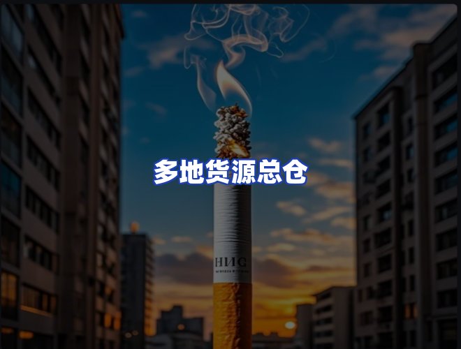 专业团队